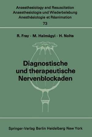 Diagnostische und therapeutische Nervenblockaden: Fortbildungsveranstaltung am 6./7. Oktober 1971 in Mainz de Rudolf Frey