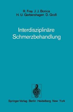 Interdisziplinäre Schmerzbehandlung de R. Frey