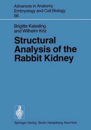 Structural Analysis of the Rabbit Kidney de B. Kaissling