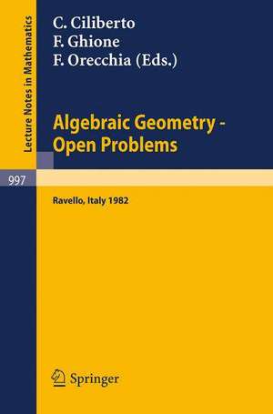 Algebraic Geometry - Open Problems: Proceedings of the Conference held in Ravello, May 31 - June 5, 1982 de C. Ciliberto