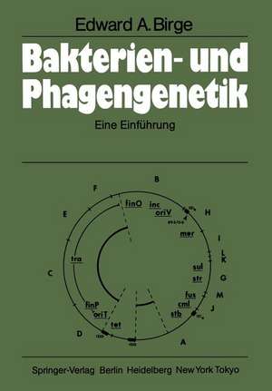 Bakterien- und Phagengenetik: Eine Einführung de E. A. Birge