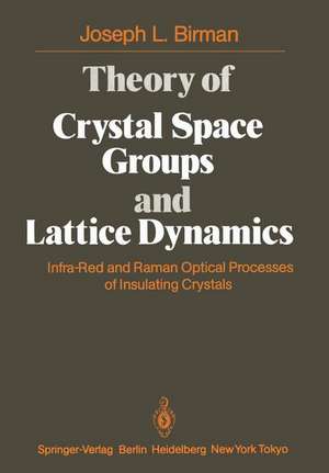 Theory of Crystal Space Groups and Lattice Dynamics: Infra-Red and Raman Optical Processes of Insulating Crystals de J. L. Birman