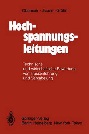 Hochspannungsleitungen: Technische und wirtschaftliche Bewertung von Trassenführung und Verkabelung de G. M. Obermair