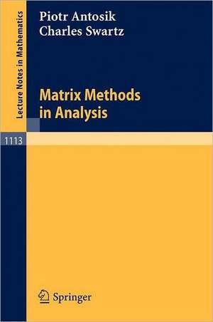 Matrix Methods in Analysis de Piotr Antosik