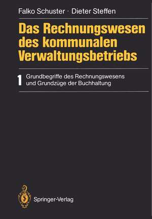 Das Rechnungswesen des kommunalen Verwaltungsbetriebs: 1 Grundbegriffe des Rechnungswesens und Grundzüge der Buchhaltung de Falko Schuster