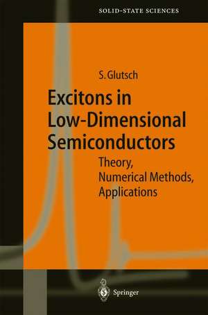 Excitons in Low-Dimensional Semiconductors: Theory Numerical Methods Applications de Stephan Glutsch