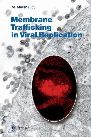 Membrane Trafficking in Viral Replication de Mark Marsh