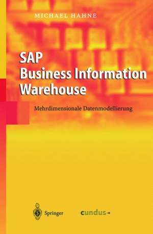 SAP Business Information Warehouse: Mehrdimensionale Datenmodellierung de Michael Hahne