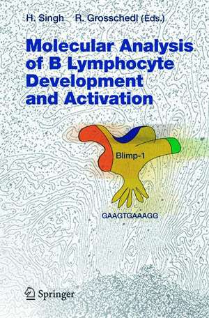 Molecular Analysis of B Lymphocyte Development and Activation de Harinder Singh