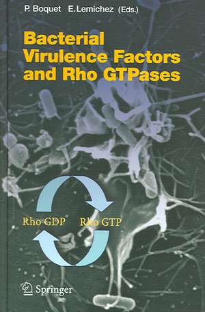 Bacterial Virulence Factors and Rho GTPases de Patrice Boquet