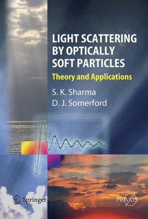 Light Scattering by Optically Soft Particles: Theory and Applications de Subodh K. Sharma