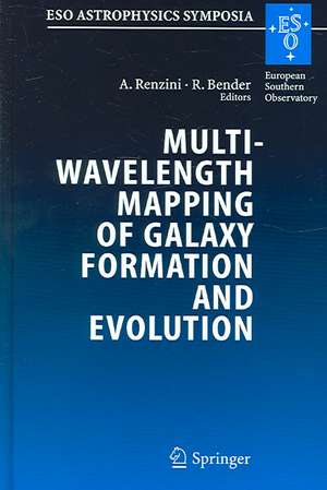 Multiwavelength Mapping of Galaxy Formation and Evolution: Proceedings of the ESO Workshop Held at Venice, Italy, 13-16 October 2003 de Alvio Renzini