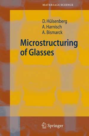 Microstructuring of Glasses de Dagmar Hülsenberg