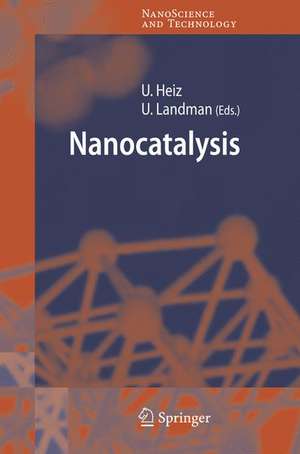 Nanocatalysis de Ulrich Heiz