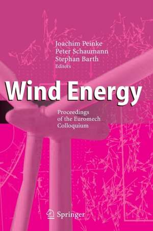 Wind Energy: Proceedings of the Euromech Colloquium de Joachim Peinke