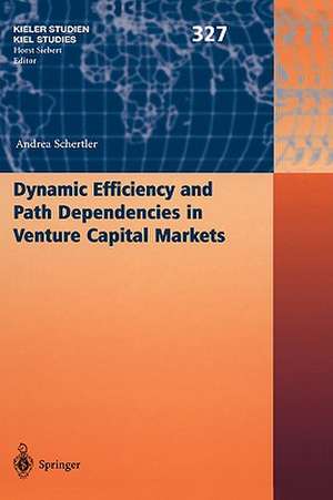 Dynamic Efficiency and Path Dependencies in Venture Capital Markets de Andrea Schertler