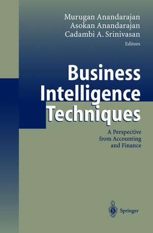 Business Intelligence Techniques: A Perspective from Accounting and Finance de Murugan Anandarajan