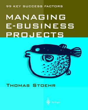 Managing e-business Projects: 99 Key Success Factors de Thomas Stoehr