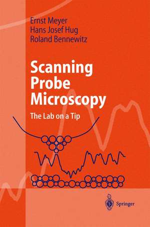 Scanning Probe Microscopy: The Lab on a Tip de Ernst Meyer