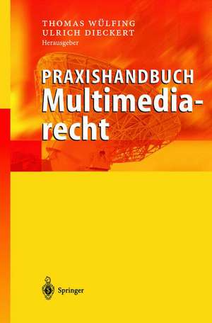 Praxishandbuch Multimediarecht de Thomas Wülfing