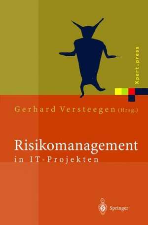 Risikomanagement in IT-Projekten: Gefahren rechtzeitig erkennen und meistern de Gerhard Versteegen