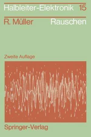 Rauschen: Zweite, überarbeitete und erweiterte Auflage de Rudolf Müller