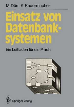 Einsatz von Datenbanksystemen: Ein Leitfaden für die Praxis de Martin Dürr