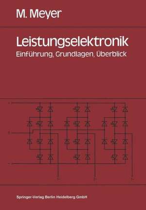 Leistungselektronik: Einführung. Grundlagen. Überblick de Manfred Meyer