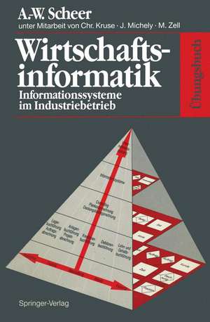 Übungsbuch Wirtschaftsinformatik: Informationssysteme im Industriebetrieb de C. Kruse