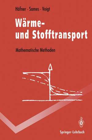 Wärme- und Stofftransport: Mathematische Methoden de Frieder Häfner