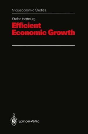 Efficient Economic Growth de Stefan Homburg