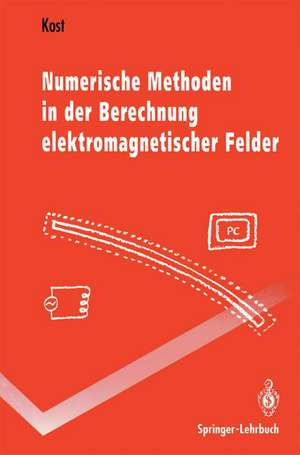 Numerische Methoden in der Berechnung elektromagnetischer Felder de Arnulf Kost