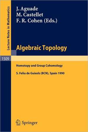 Algebraic Topology: Homotopy and Group Cohomology de Jaume Aguade