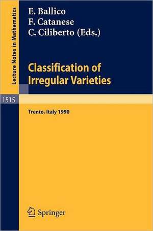 Classification of Irregular Varieties: Minimal Models and Abelian Varieties. Proceedings of a Conference held in Trento, Italy, 17-21 December, 1990 de Edoardo Ballico