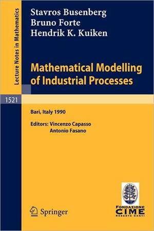 Mathematical Modelling of Industrial Processes: Lectures given at the 3rd Session of the Centro Internazionale Matematico Estivo (C.I.M.E.) held in Bari, Italy, Sept. 24-29, 1990 de Stavros Busenberg