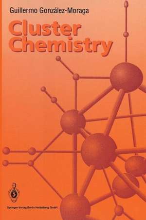 Cluster Chemistry: Introduction to the Chemistry of Transition Metal and Main Group Element Molecular Clusters de Guillermo Gonzalez-Moraga