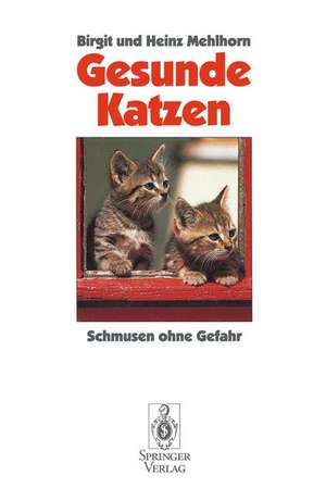 Gesunde Katzen: Schmusen ohne Gefahr de Birgit Mehlhorn