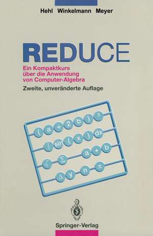 REDUCE: Ein Kompaktkurs über die Anwendung von Computer-Algebra de Friedrich W Hehl