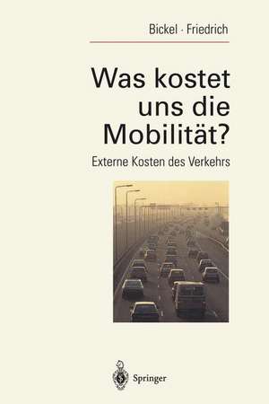 Was kostet uns die Mobilität?: Externe Kosten des Verkehrs de Peter Bickel