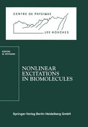 Nonlinear Excitations in Biomolecules: Les Houches School, May 30 to June 4, 1994 de Michel Peyrard