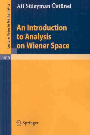 An Introduction to Analysis on Wiener Space de Ali S. Üstünel