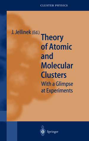 Theory of Atomic and Molecular Clusters: With a Look at Experiments de Julius Jellinek