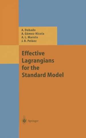 Effective Lagrangians for the Standard Model