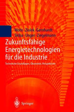 Zukunftsfähige Energietechnologien für die Industrie: Technische Grundlagen, Ökonomie, Perspektiven de Y. Thalheim