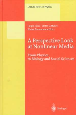 A Perspective Look at Nonlinear Media: From Physics to Biology and Social Sciences de Jürgen Parisi