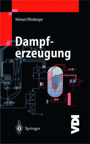 Dampferzeugung de Helmut Effenberger