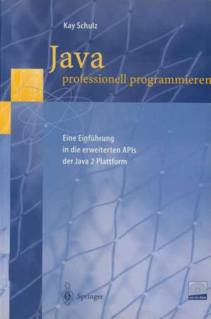 Java professionell programmieren: Eine Einführung in die erweiterten APIs der Java 2 Plattform de Kay Schulz