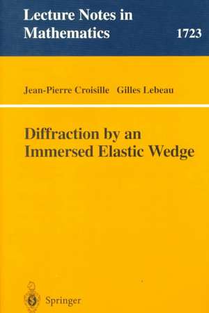 Diffraction by an Immersed Elastic Wedge de Jean-Pierre Croisille