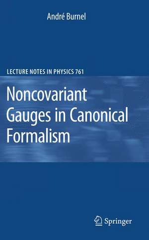 Noncovariant Gauges in Canonical Formalism de André Burnel