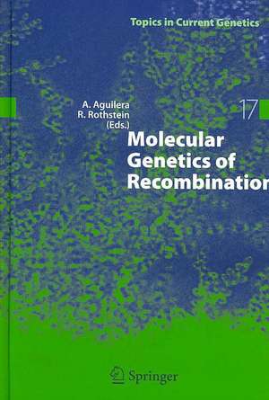 Molecular Genetics of Recombination de Andrés Aguilera